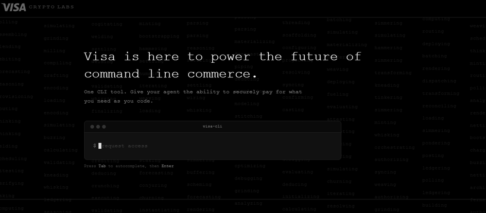 Visa CLI Screenshot 1