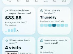 Reports — each report answers a single question: earnings, expected revenue, busiest day, returning customers