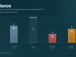 Dashboard-style chart titled “Business health at a glance” with colored bars for business categories including market and offer, visibility and brand, customers and sales, and risk and resilience.