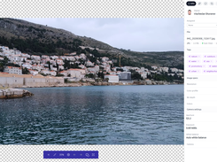 Asset detail view with AI-generated tags, image specifications, camera settings, and full metadata extraction.