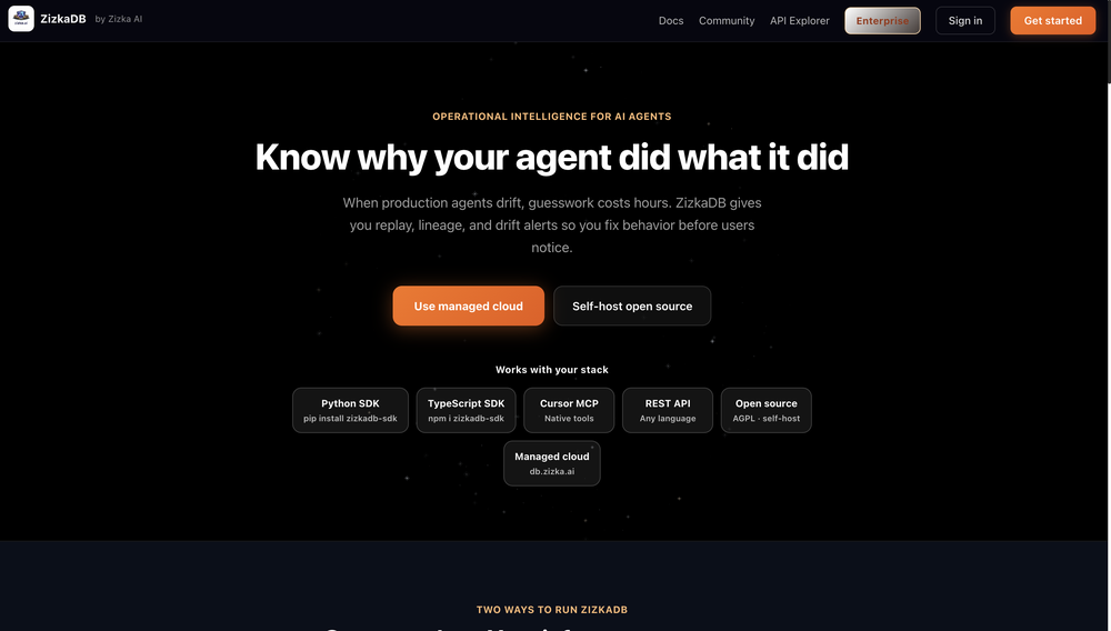 ZizkaDB Screenshot 1